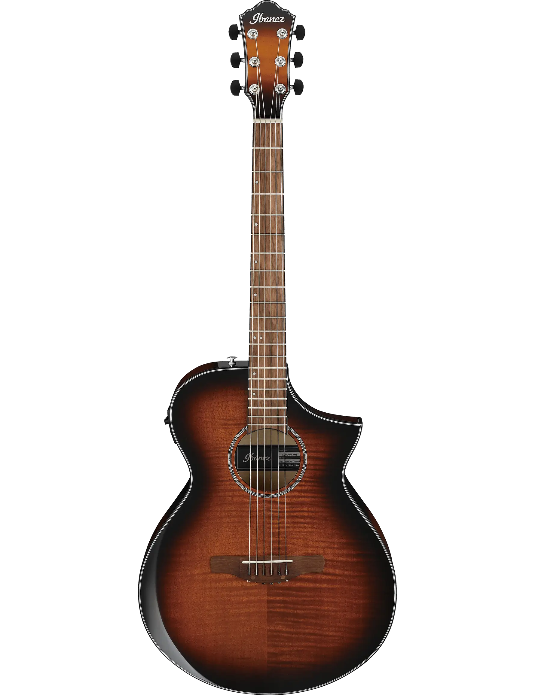 Ibanez AEWC400