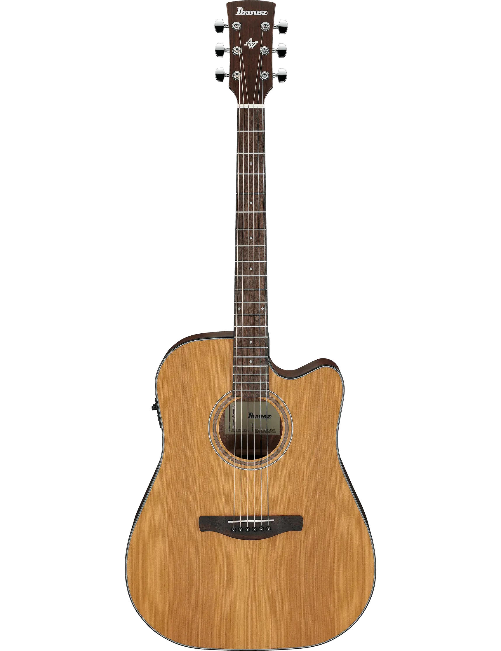 Ibanez AW65ECE
